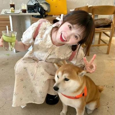 情人的归来